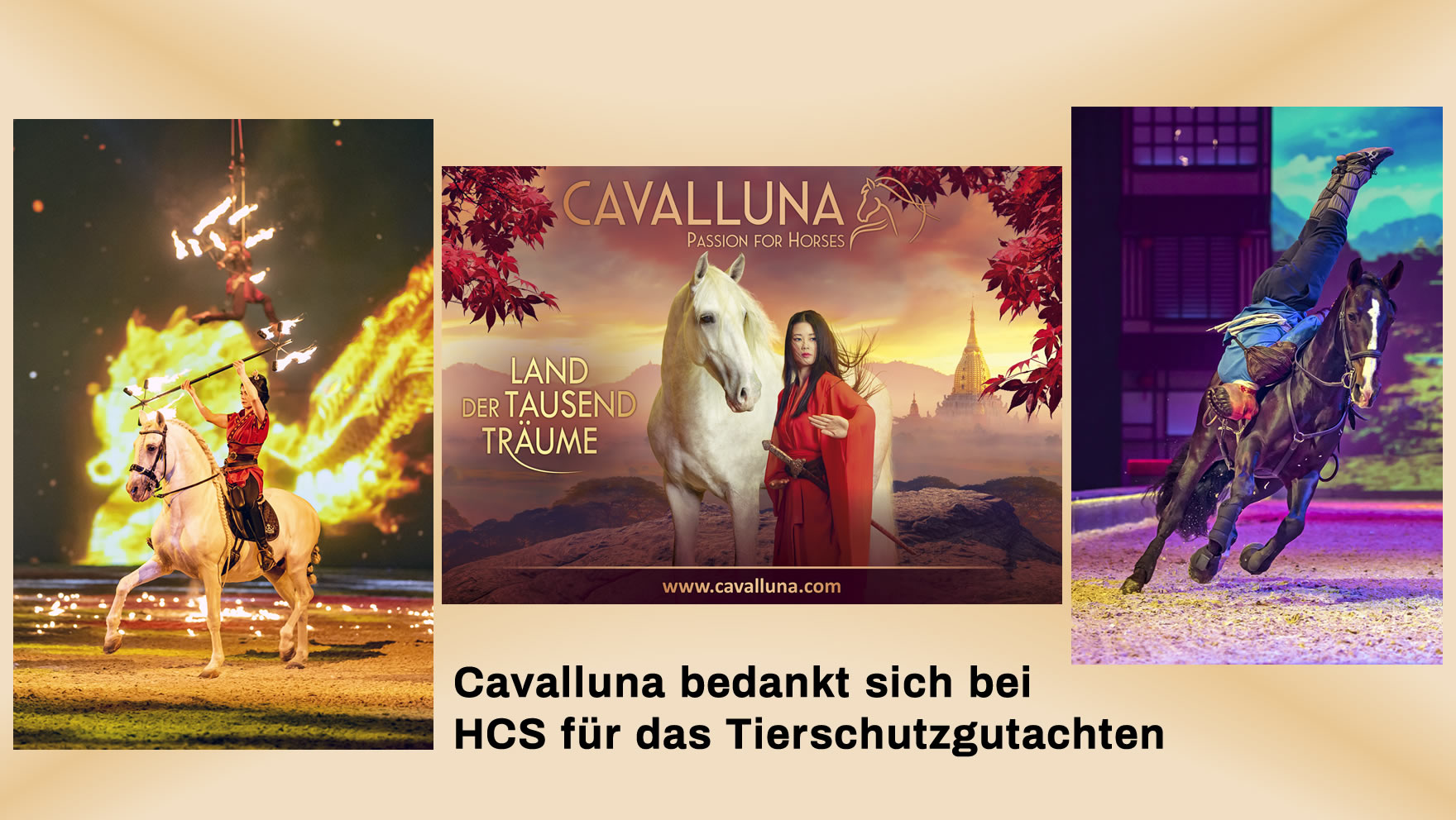 Cavalluna sagt Danke