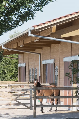 Wertermittlung von Pferdeimmobilien